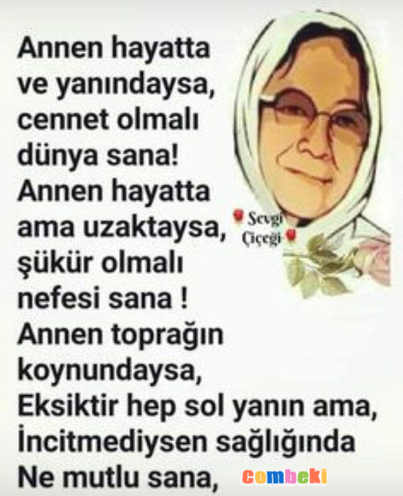 Annem Benim Herşeyim
