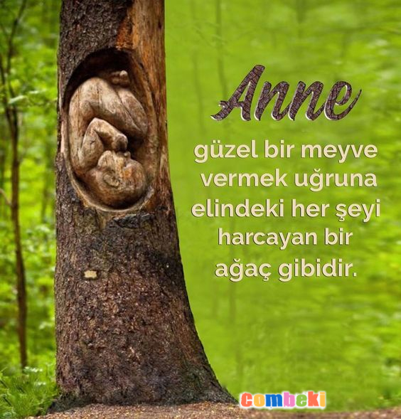 Annem Benim Herşeyim