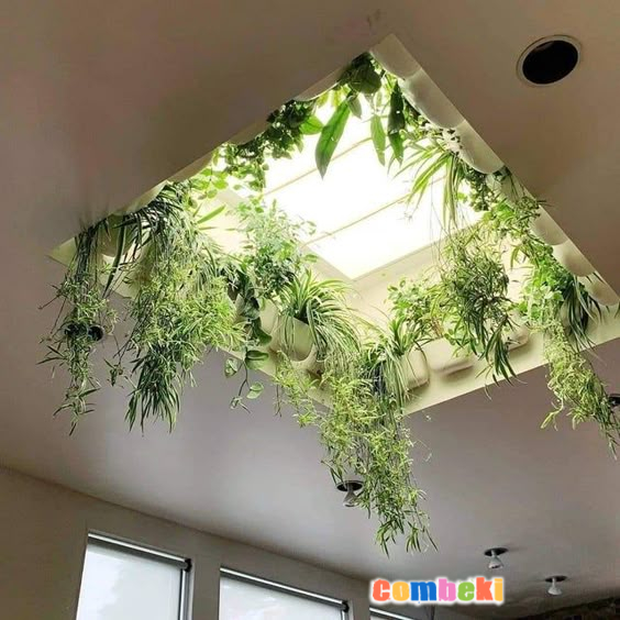 A community focused on the discussion, care, and well-being of houseplants!.
