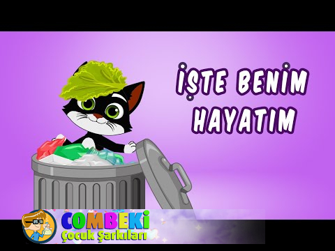 Sokak Kedisi - İşte Benim Hayatım
